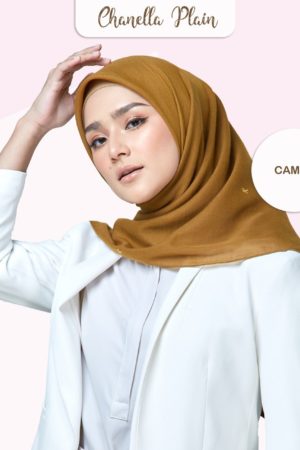CAMEL